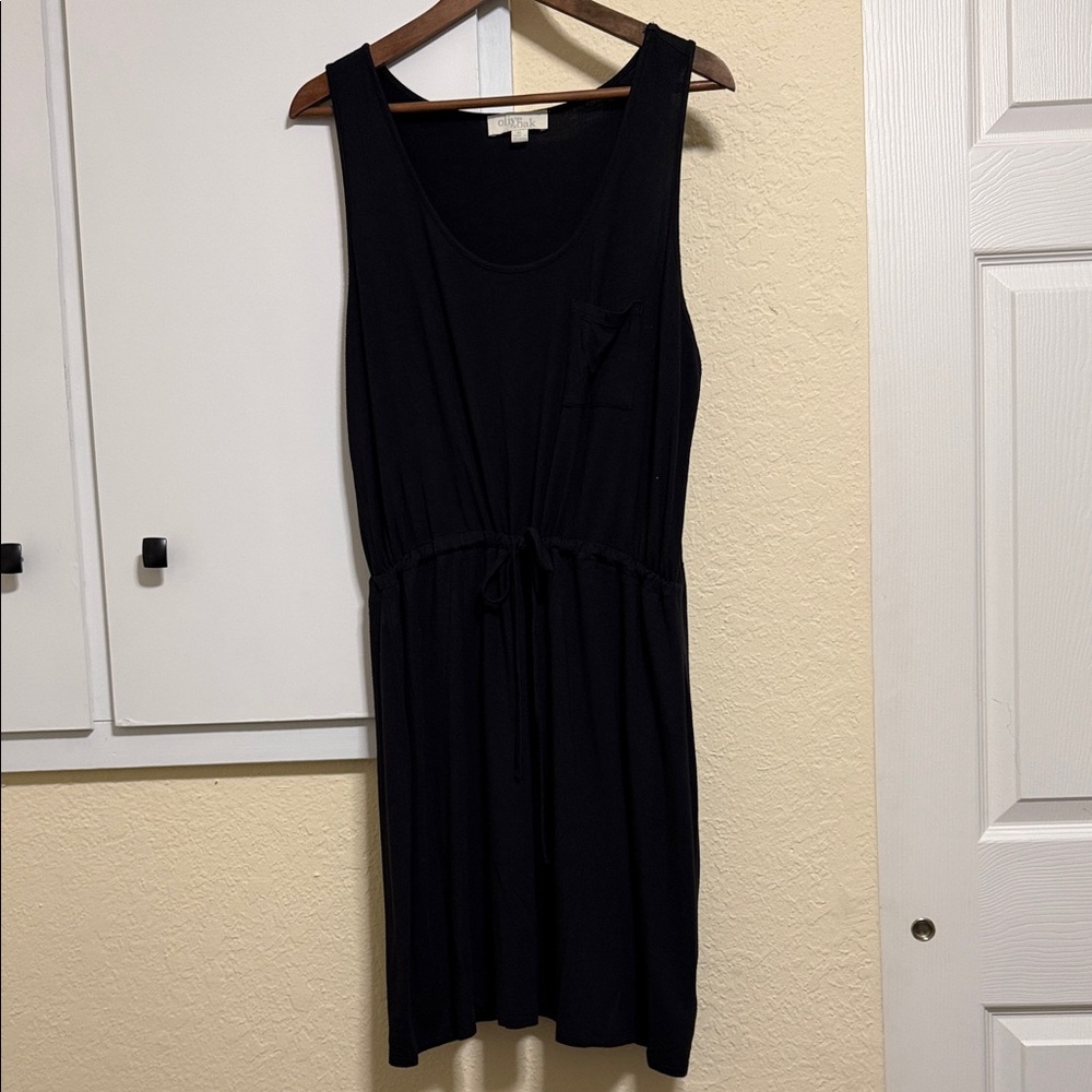 Olive & Oak Black Dress